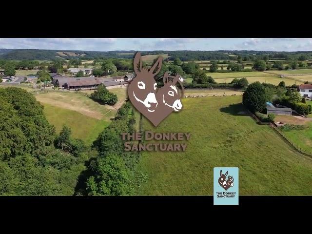 The Donkey Sanctuary Sidmouth - aerial intro