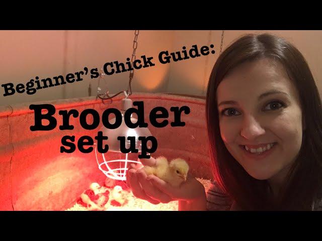 Beginner’s Guide to Raising Chicks | Brooder Set Up