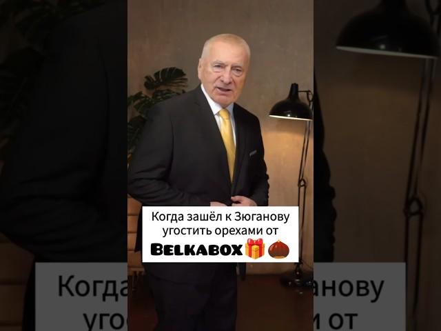 #belkabox #рекомендации