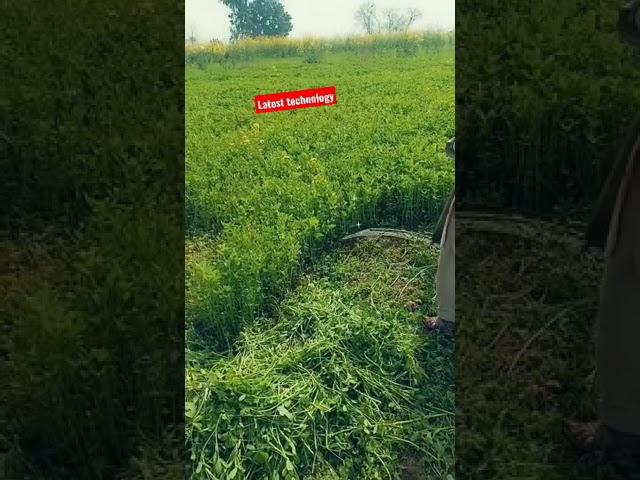Grass Harvesting latest technique #technology #minizoo