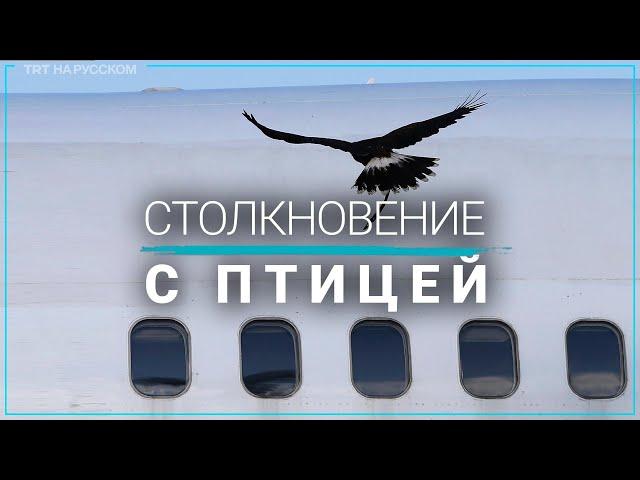 Столкновение с птицей привело к возгоранию двигателя в американском самолете