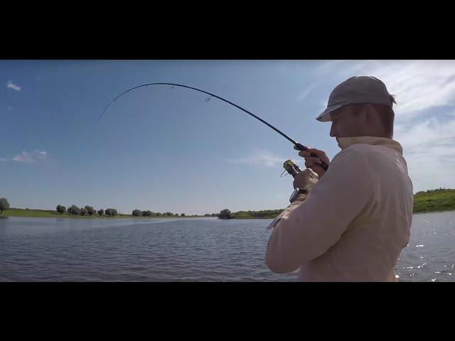 Ловля судака летом на джиг. Бершовые мытарства