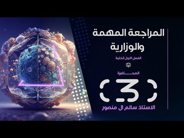 المراجعة ( فصل الأول ) | المحاضرة 3.