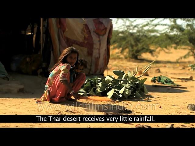 Thar : The Great Indian Desert