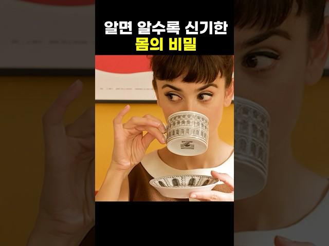 알면 알수록 신기한 몸의 비밀