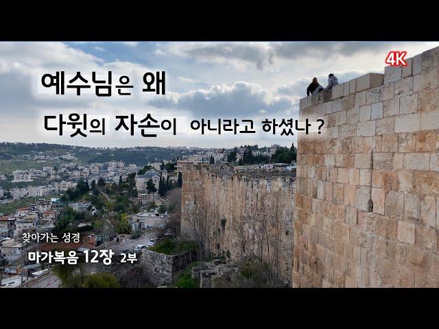 [148] 마가복음 12장/2부/ 과부의 두 렙돈/여인의 뜰과 헌금함/서기관의 외식/예수님은 왜 다윗의 자손이 아니라고 했을까/찾아가는 성경/유병성 목사
