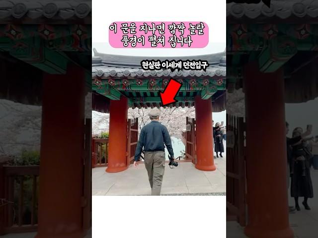 환상적인 풍경이 펼쳐지는 해안가의 사찰 #국내여행지추천