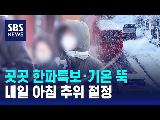 [날씨] 곳곳 한파특보·기온 뚝…내일 아침 추위 절정 / SBS