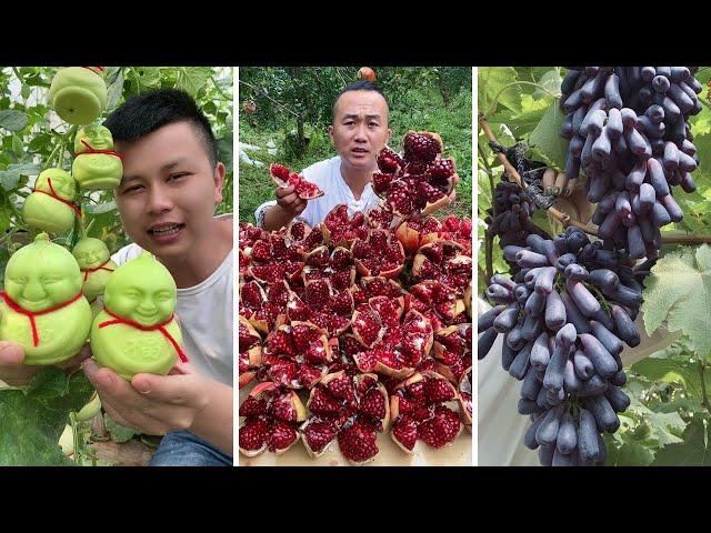 Farm Fresh Ninja Fruit Cutting | Oddly Satisfying Fruit Ninja #17