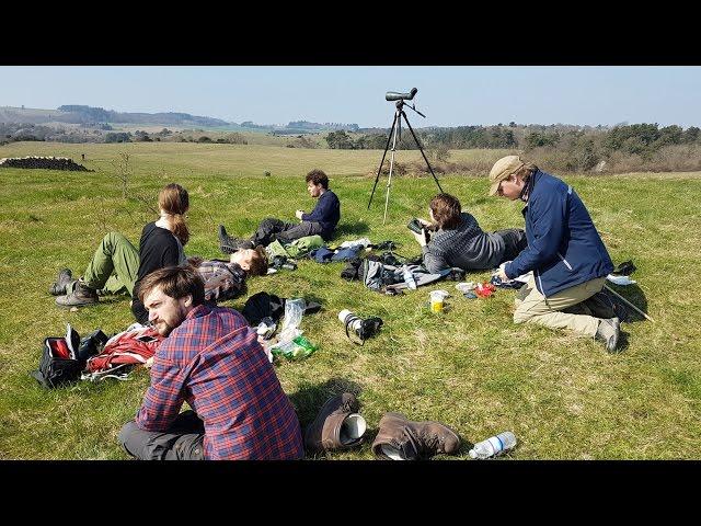 DDRderude - biodiversitets-april-amok på Molslaboratoriet