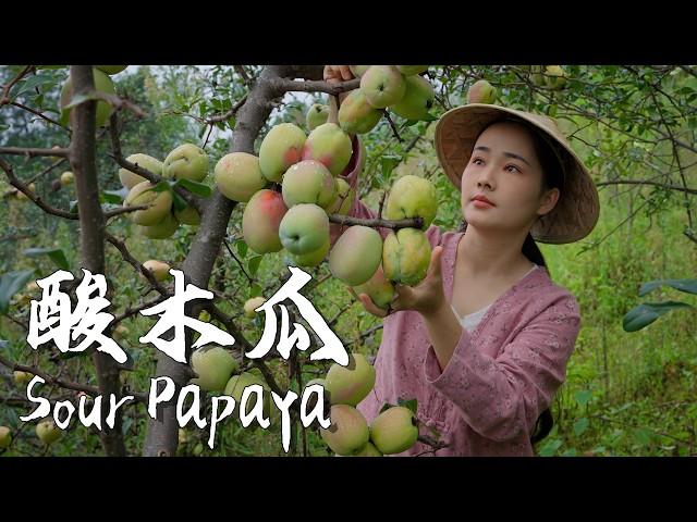 Sour Papaya – A Taste of Nostalgia for Yunnan People【滇西小哥】