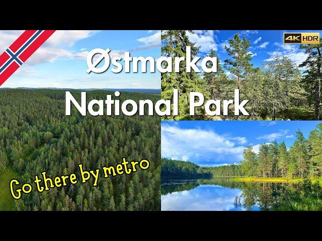 Østmarka National Park | Oslo