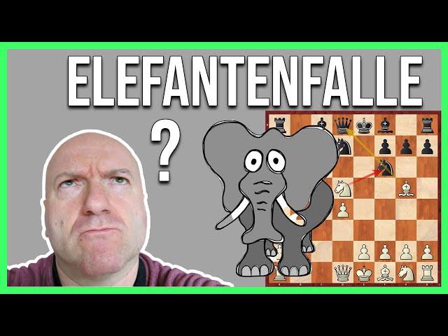 Eröffnungsfallen || Die Elefanten-Falle