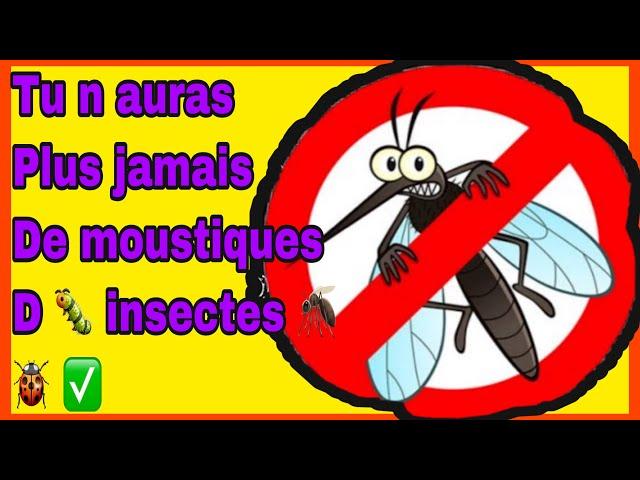 tu n'auras plus jamais d'insectes, mouches, piqures: mes remèdes maison sans insecticides, toxines