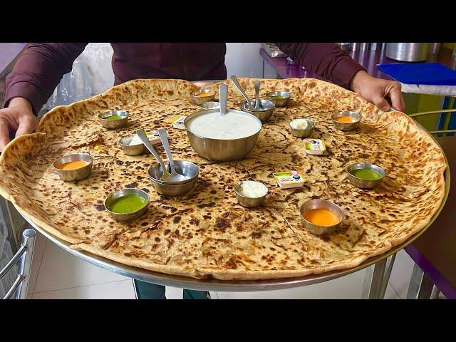 Biggest Aloo Paratha In India | Jaipur Food