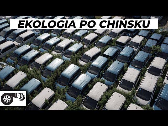 Elektryki porzucone na zmarnowanie. Katastrofa car-sharingu w Chinach.