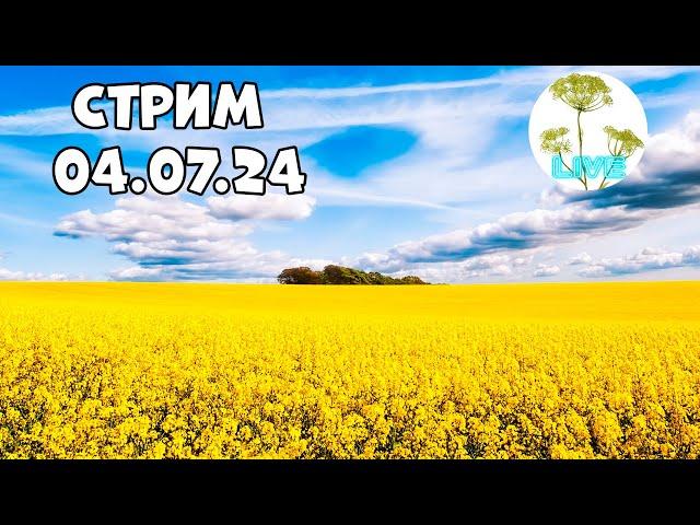 Стрим 04.07.2024