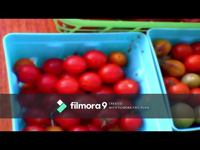 PART 9 PROMOSHEN VIDEO FOR EJS VEGETABLE STAND PRO EDITED VIDEO 2019