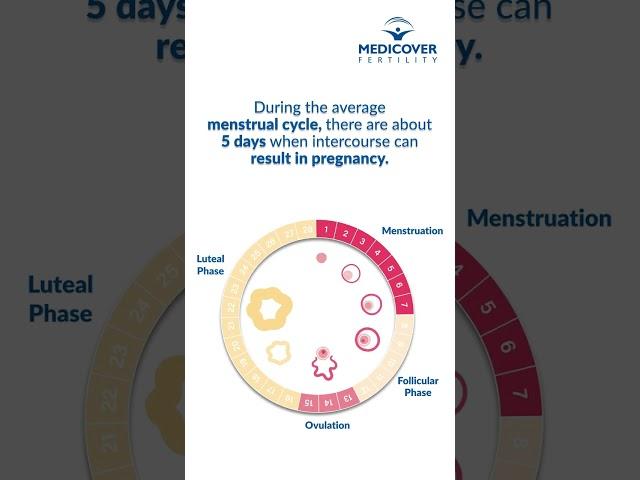 Secrets of Your Fertile Period and Monitoring Your Menstrual Cycle