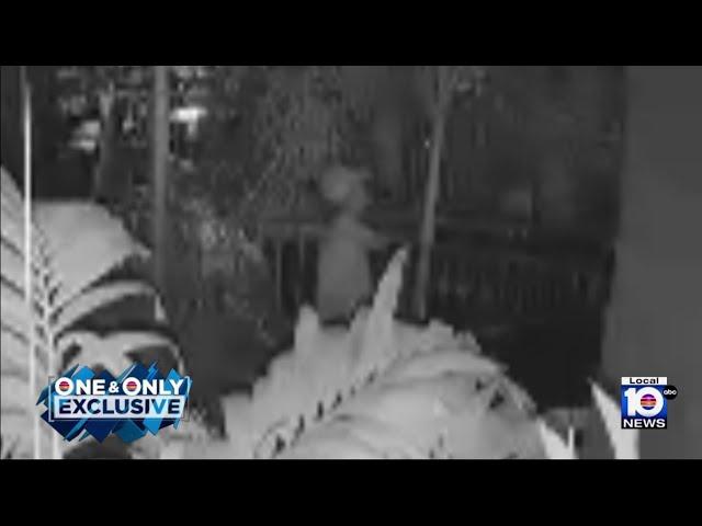 Man caught on camera stealing box from Miami home that contained dog's ashes