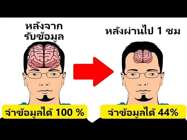 11 เคล็ดลับในการจดจำสิ่งต่างๆ ได้เร็วกว่าคนอื่น