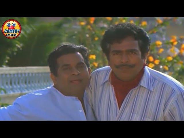 Pelli Telugu Movie Comedy Scene 2 | Vadde Naveen | Maheswari | Comedy Express