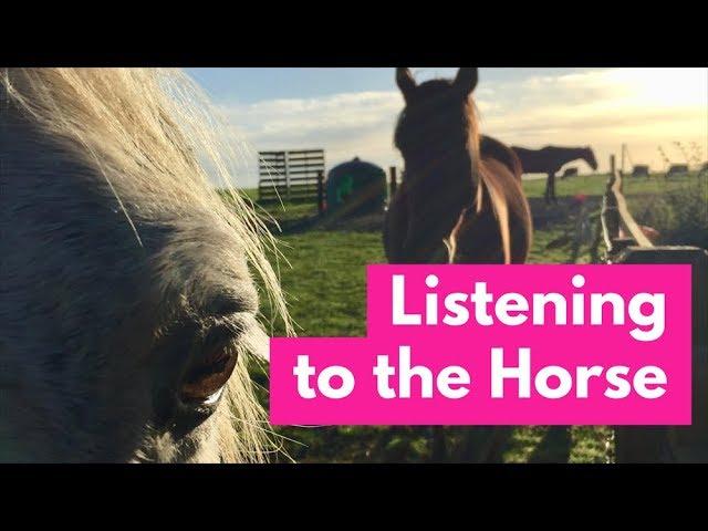 Listening to the Horse Documentary -  Full Length Horse Movie Part 1 of 7 (episode 1) - Elaine Heney