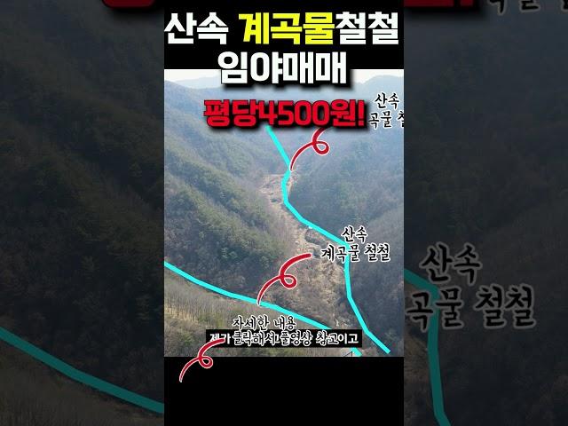 산속 계곡물 철철 흐르는 임야매매~평당4500원~ #shorts 세상사는 부동산