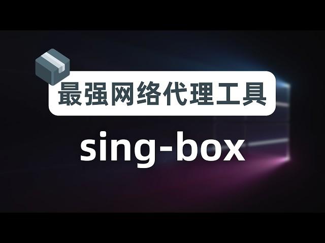 【瑞士军刀】放弃fakeip，拥抱realip，最强网络代理工具sing-box新手指南，从此不知DNS泄漏/DNS污染为何物，软路由插件homeproxy，奈飞DNS解锁、sniff流量嗅探覆写解析