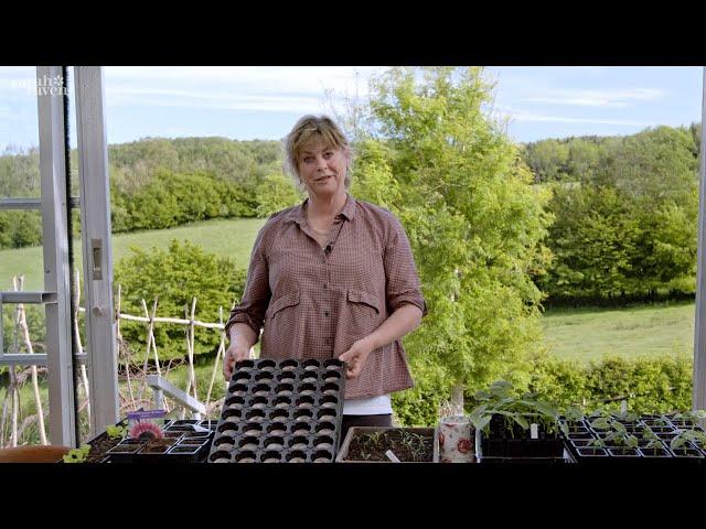 Gardening at home with Sarah | Top Seed Sowing Systems at Perch Hill