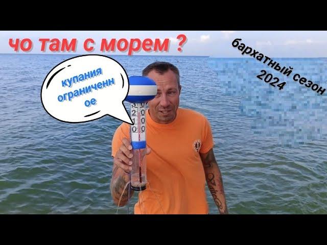 Анапа Сегодня вода Сентября  леденящая  / Витязево 2024