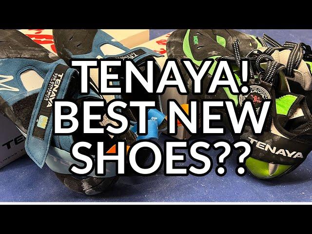 Review | TENAYA Mundaka & Mastia!