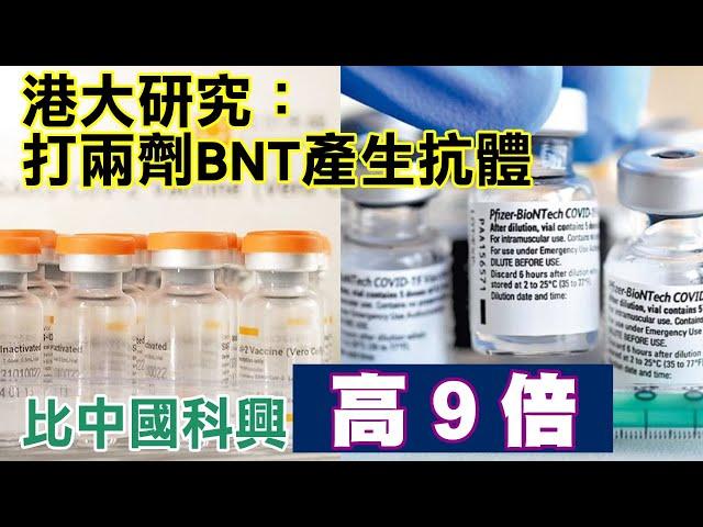 香港大學研究：打兩劑BNT疫苗產生的抗體　比中國科興疫苗高出9倍 | 台灣新聞 Taiwan 蘋果新聞網