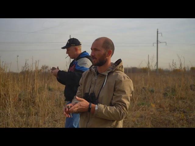 ловля щеглов, чижей, буланых вьюрков и коноплянок