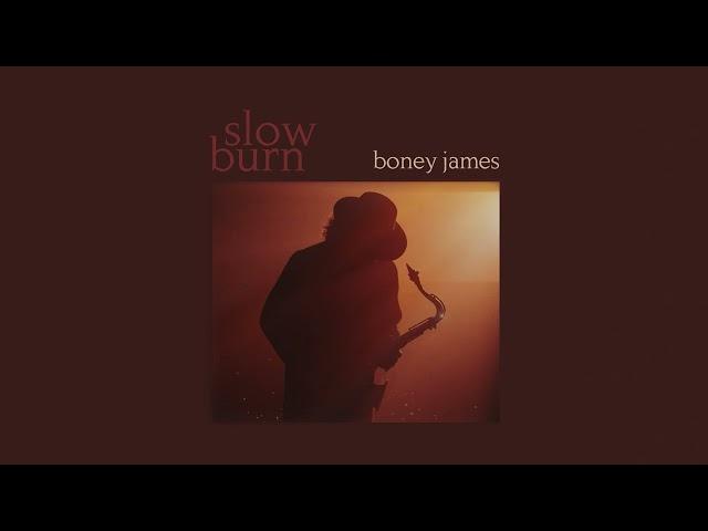 Boney James - Butterfly feat. Cory Henry & Marcus Miller (Official Audio)