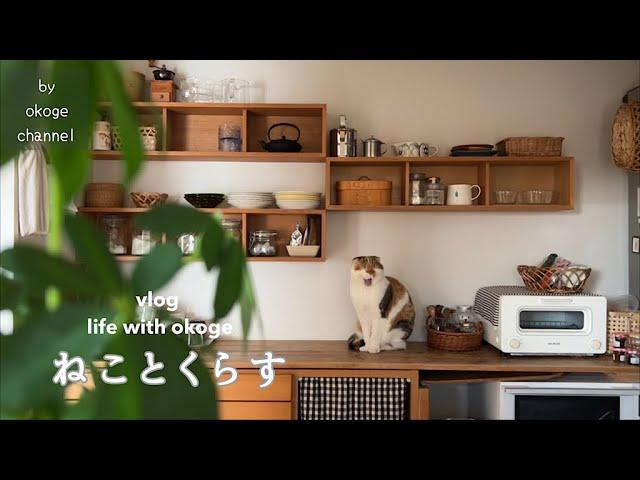 Daily life with cats starting with breakfast/MUJI HAUL(Vlog of life and cat)