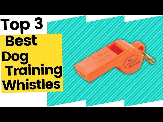 3 Best Dog Training Whistles to Buy in 2023