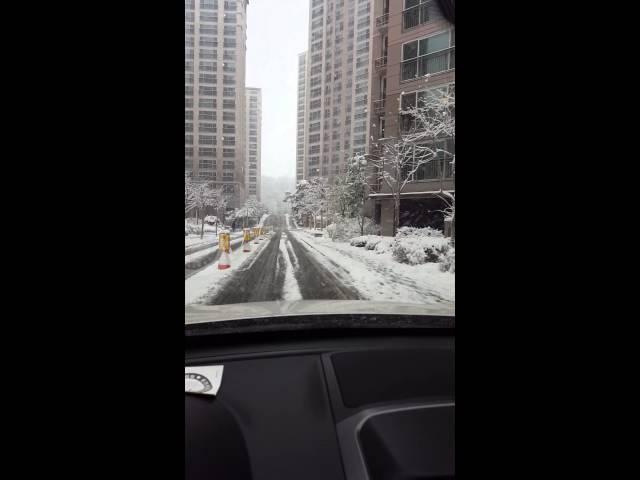 15.11.26 천안 첫눈 출근길...아파트에 눈 쌓였네...(생각도둑)