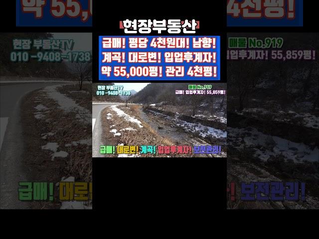 시골 임야 급매 평당4천원대 대로변 계곡 55,859 평 #급매 #임야 #싼땅 #임업후계자 #방북리 #현장부동산