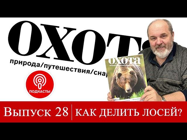 Выпуск 28. Как делить лосей?