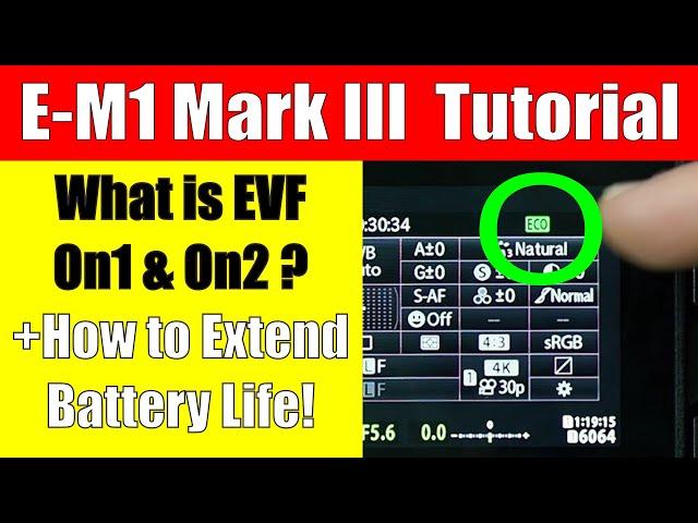 Olympus E-M1 Mark III: What is EVF On2 & How to Extend Battery Life