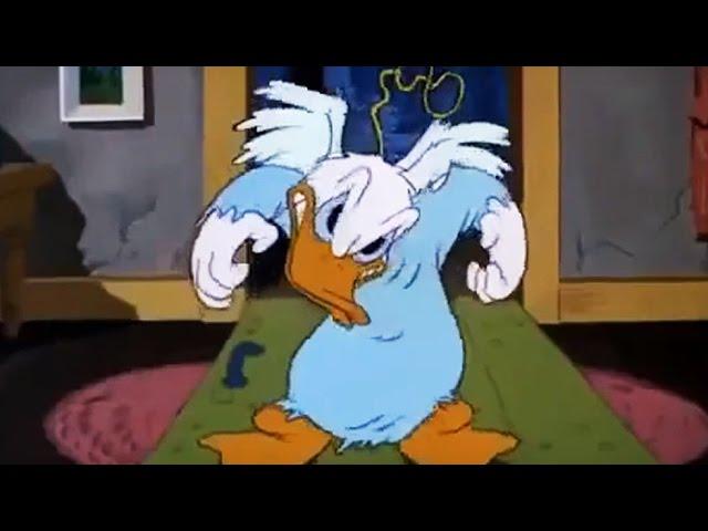 Donald Duck's Classic Toon Collection, Part 2 - 1hr of More Disney Fun!