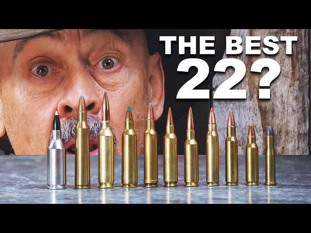 22 Creedmoor Vs ALL 22 Centerfires