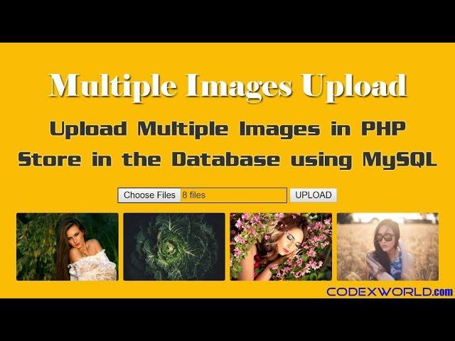 Upload Multiple Images and Store in Database using PHP and MySQL