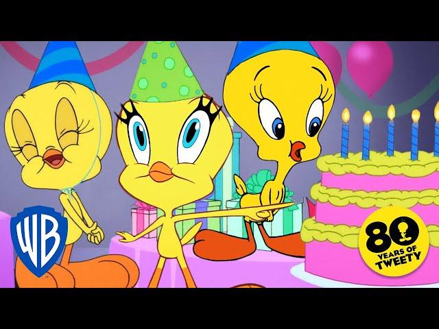 Looney Tunes | Happy Birthday Tweety! | @WB Kids