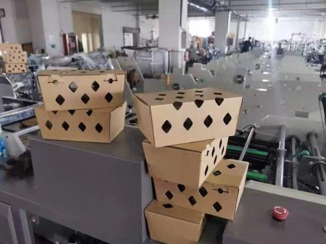 Paper Corrugated Fresh Fruit Packaging Box Tray Forming Machine Food Box Machine