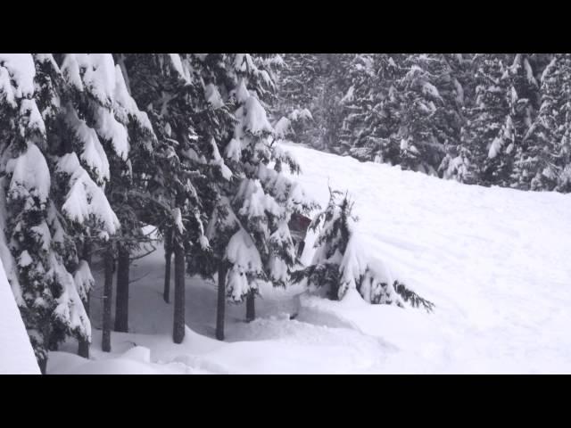 Silver Star Deep Powder