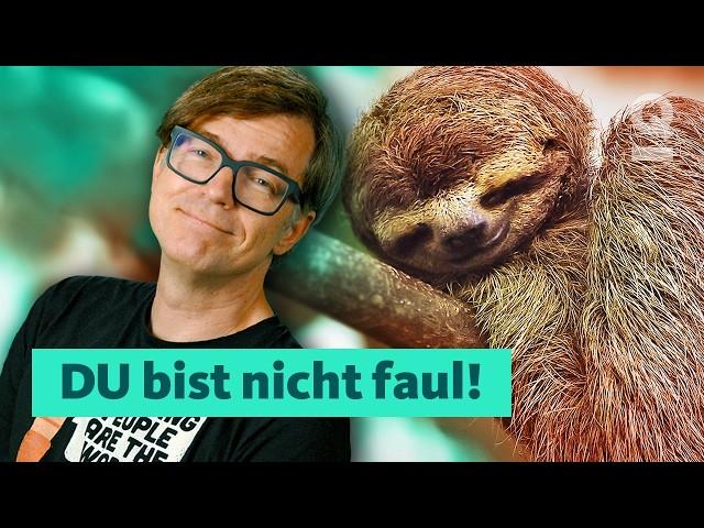 Persönlichkeit: Warum es keine faulen Menschen gibt! | Quarks Dimension Ralph