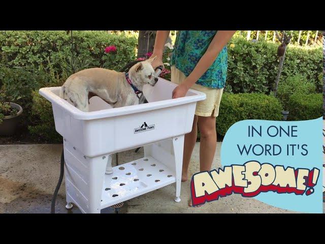 Awesome Paws Dog Bath Grooming Station Portable Indoor and Outdoor, for Small & Medium Dogs