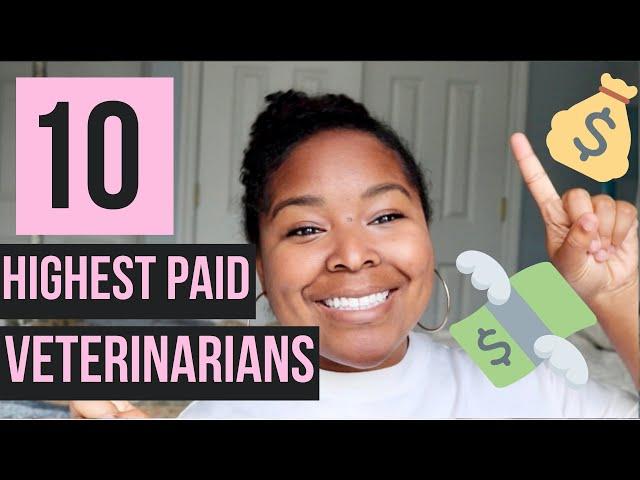 HIGHEST PAID CAREERS IN VET MED | DIFFERENT TYPES OF VETERINARIANS